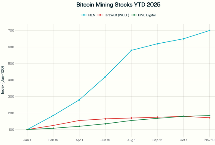 Bitcoin Mining Stocks YTD 2025