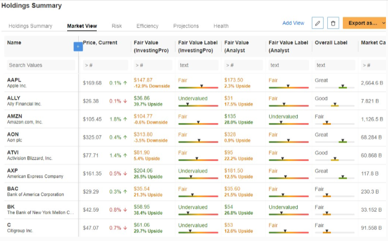 Holdings Summary