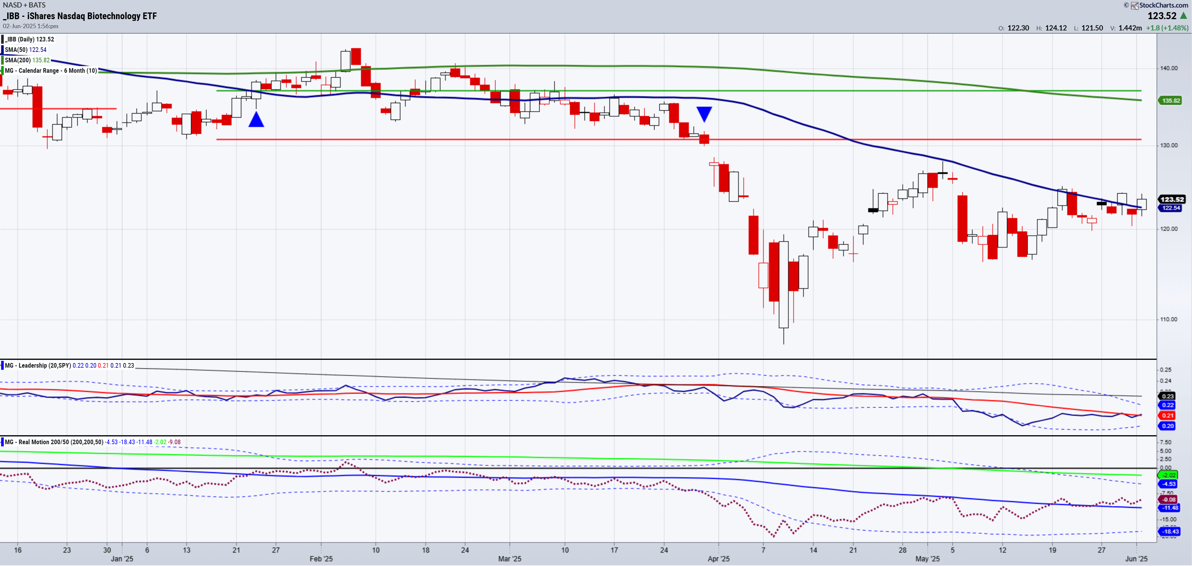 IBB ETF-Daily Chart