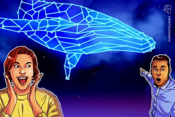What decentralization? Solana lender Solend approves whale wallet takeover to avoid DeFi implosion