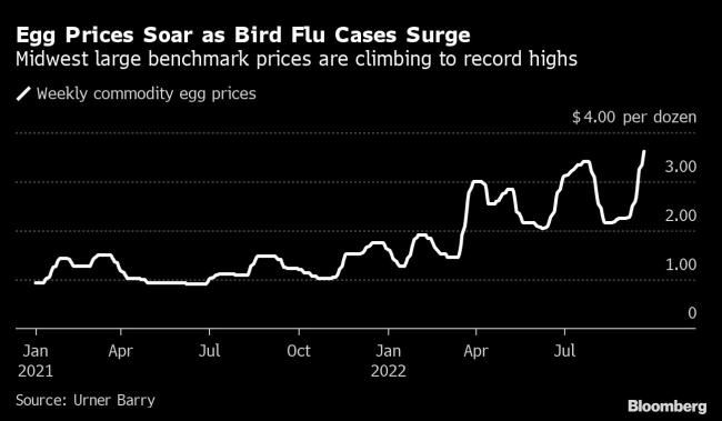 Thanksgiving Turkeys Never Cost So Much as Bird Flu Ravages US Flocks