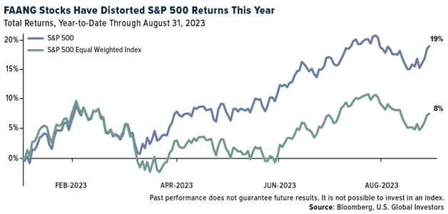 FAANG Stocks Returns This Year