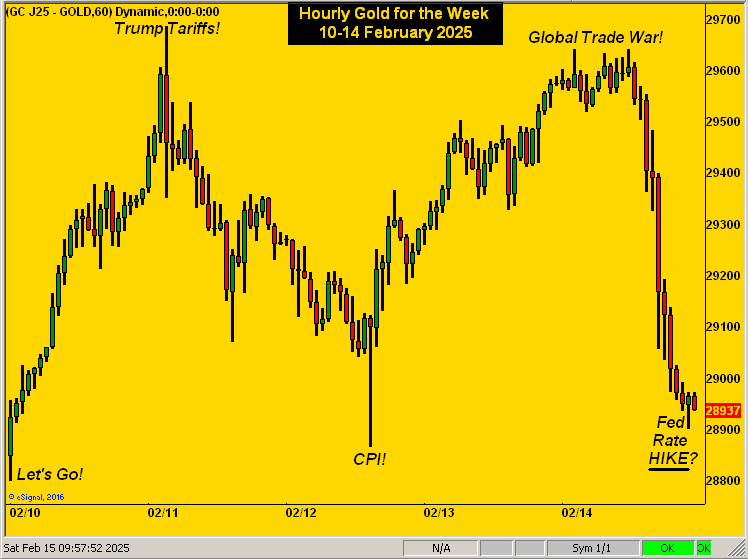 Gold-1-Hour Chart