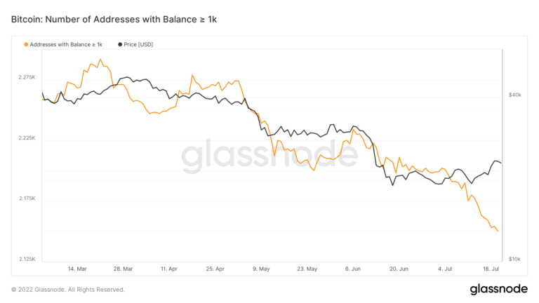 Bitcoin Addresses Distribution.