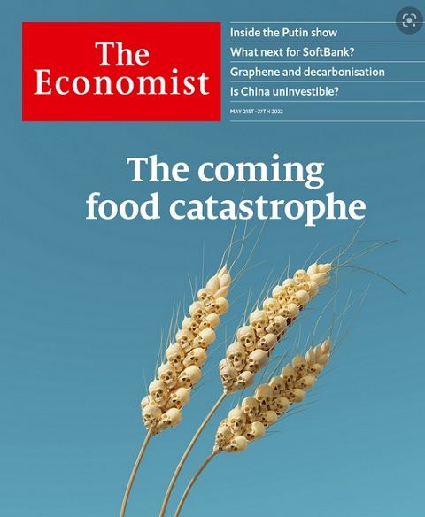 The Economist Article