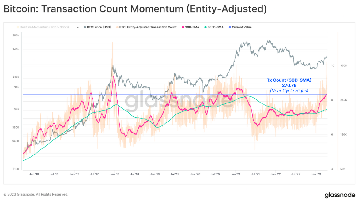 BTC Transaction Count Momentum