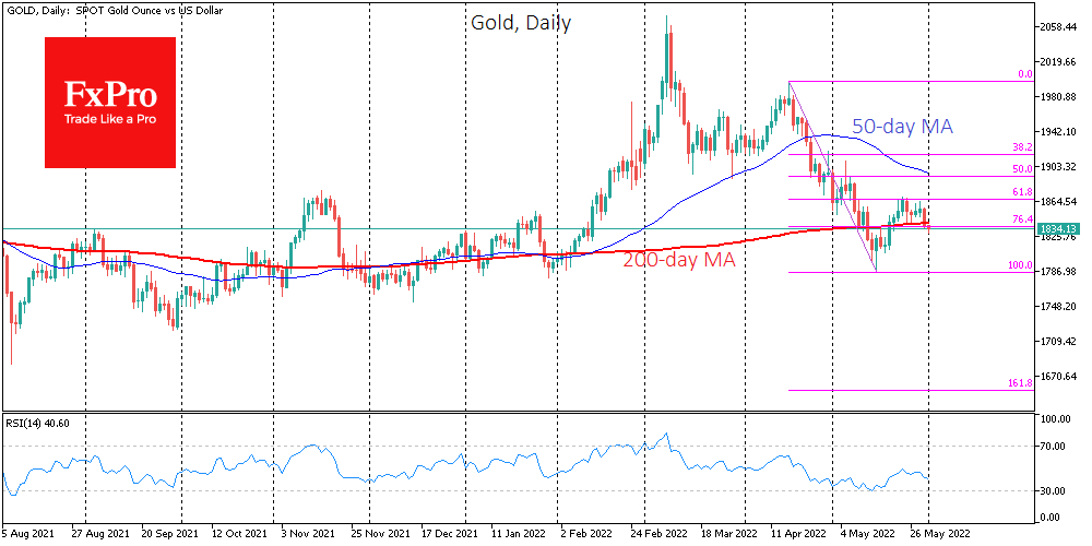 Gold daily chart.