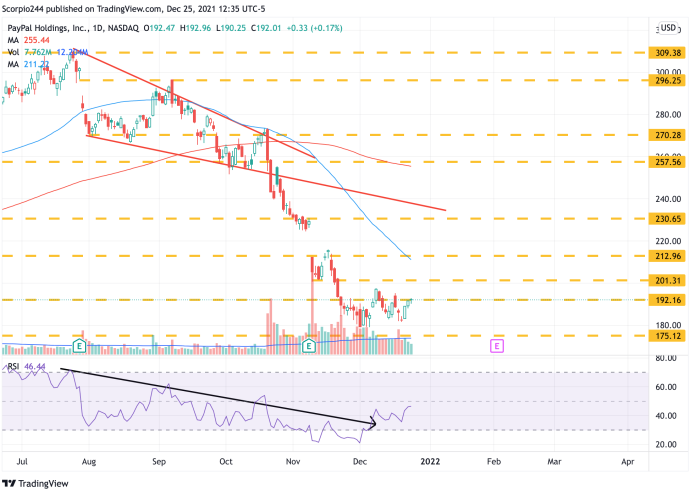 PayPal Inc Daily Chart